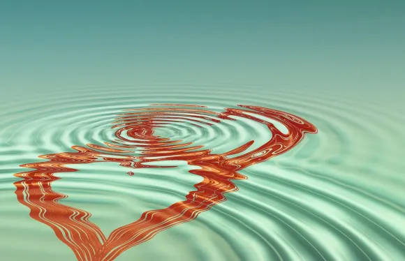 Casigo Kasino Podrška